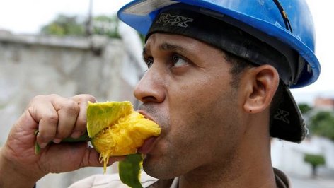 PHOTO: Venezualan eating a Mango